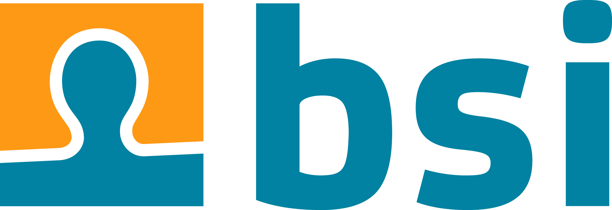 Bsi Logo