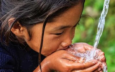 Women in Tech Leading the Charge Against PFAS: Innovative Solutions for a Global Challenge